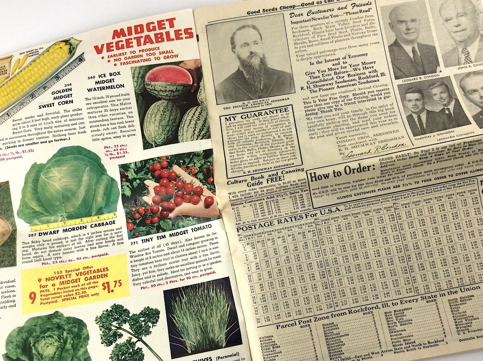 RH Shumway Seedsman Rockford Illinois 1961 Plant Garden Seed Catalog Q381