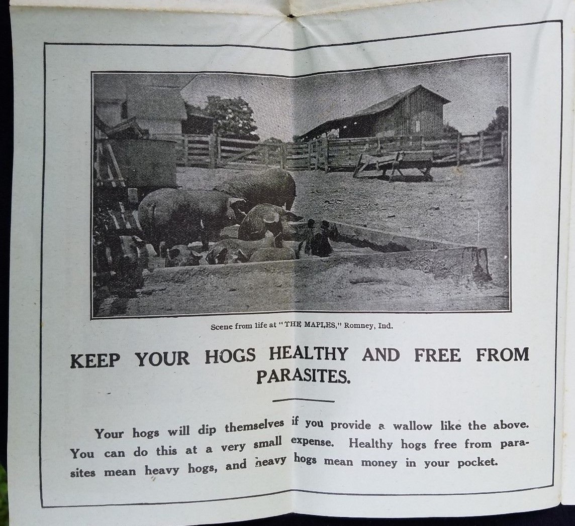1919 Parke Davis Detroit Leaflet Farm Sanitation Concrete Hog Wallows Dip Vats