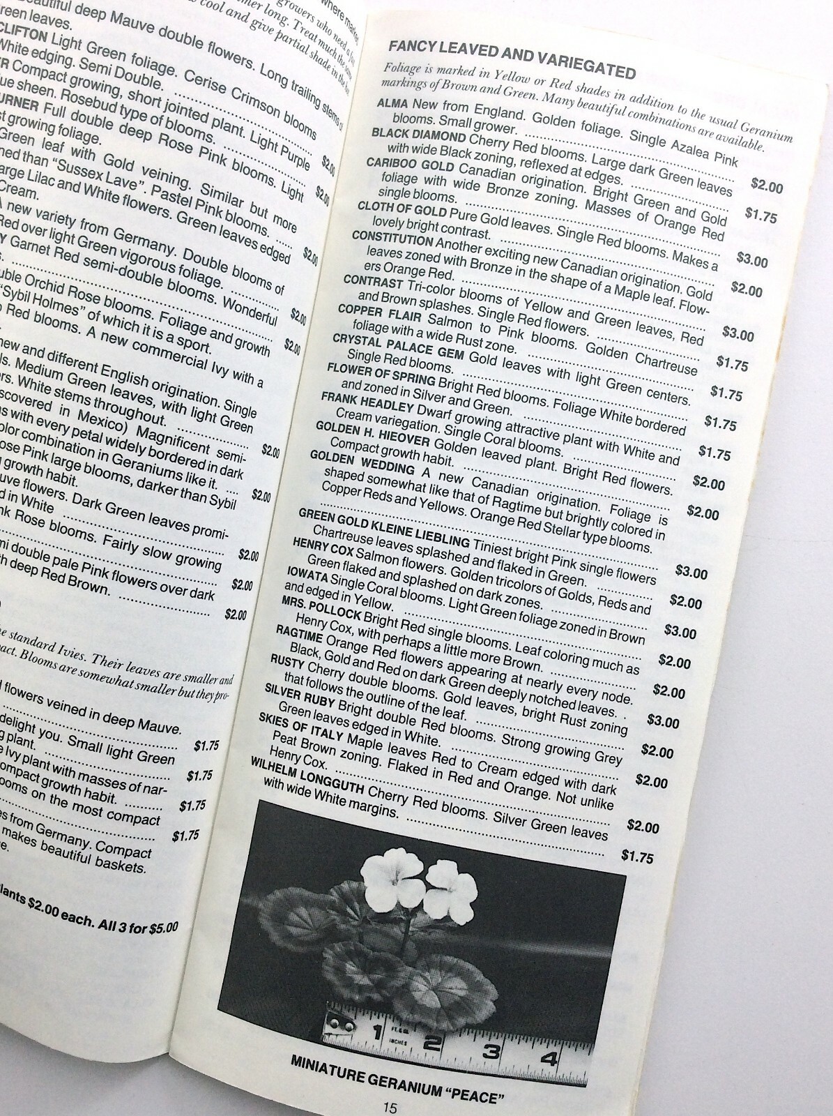 Haborcrest Nurseries Seed Handbook Catalogue 1984 Victoria BC P980