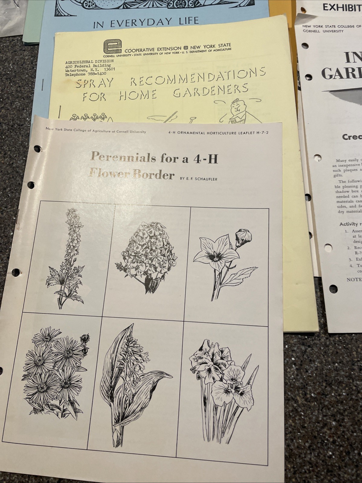 Large Lot Vintage 4H And Cornell Cooperative Extension Gardening Brochures.