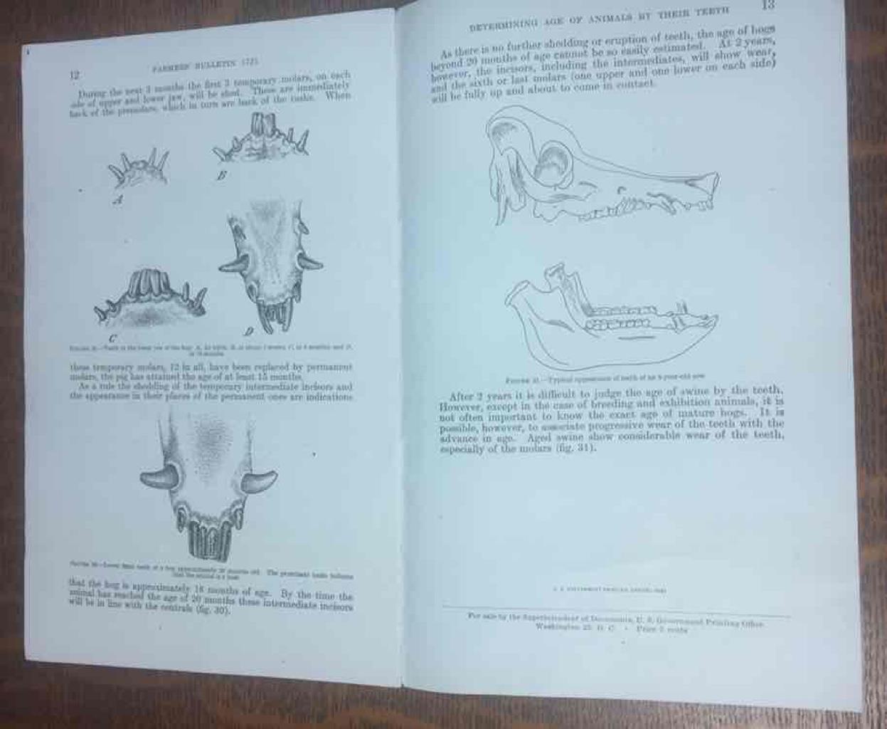 Vintage 1934 Determining the Age of Farm Animals by Their Teeth U.S. Dept of Agr