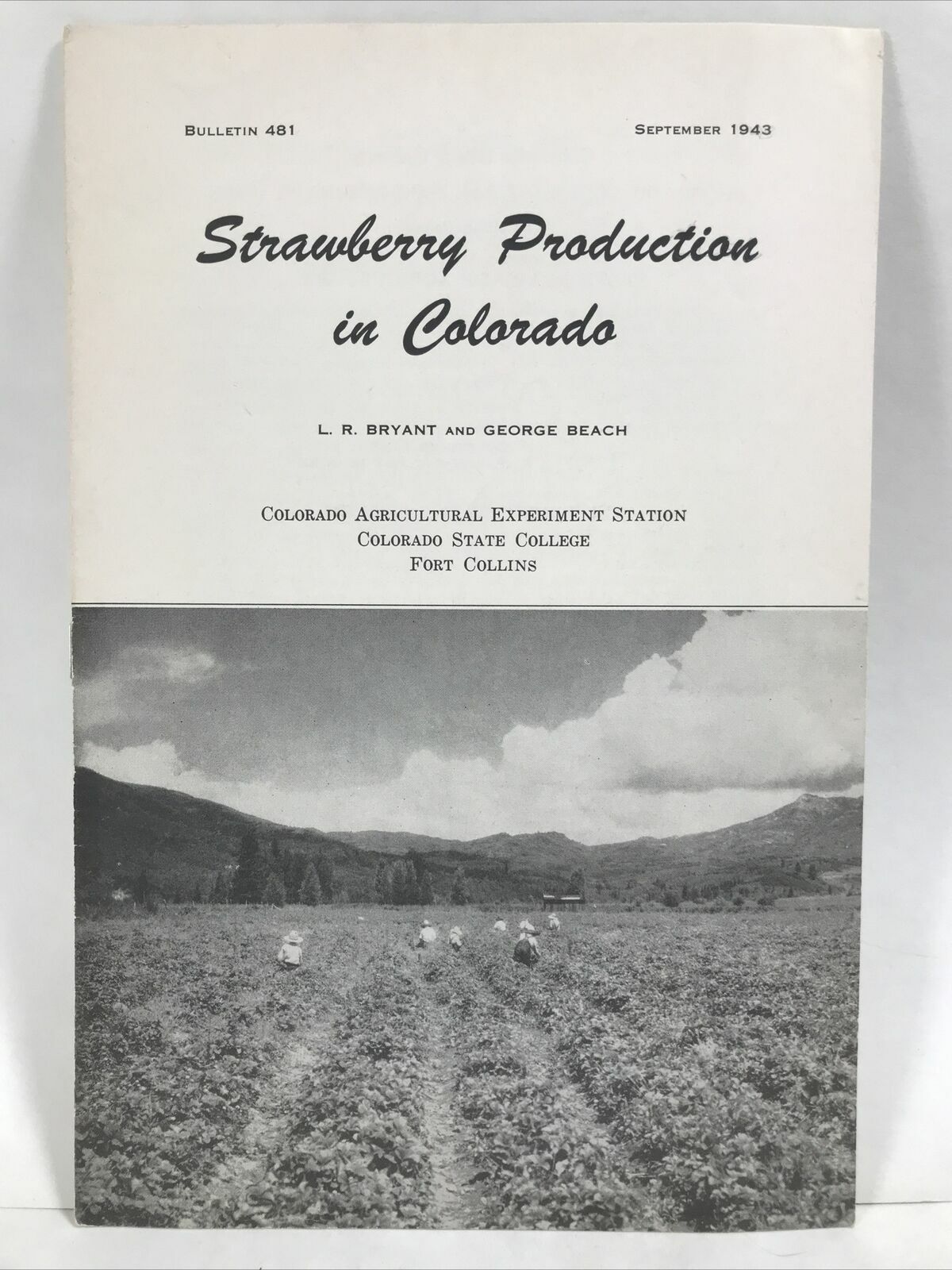 1943 STRAWBERRY PRODUCTION IN COLORADO Bulletin 481 Bryant and Beach CSU Booklet