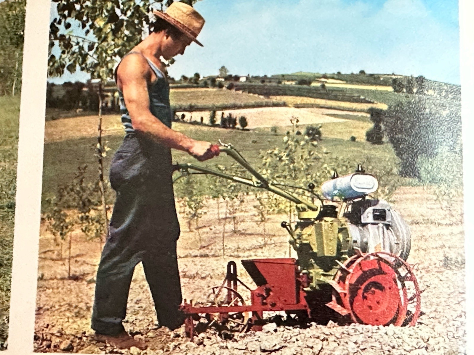 Vintage Casorzo Vigneto Motoaratrice Brochure Vineyard Tractor Catalog
