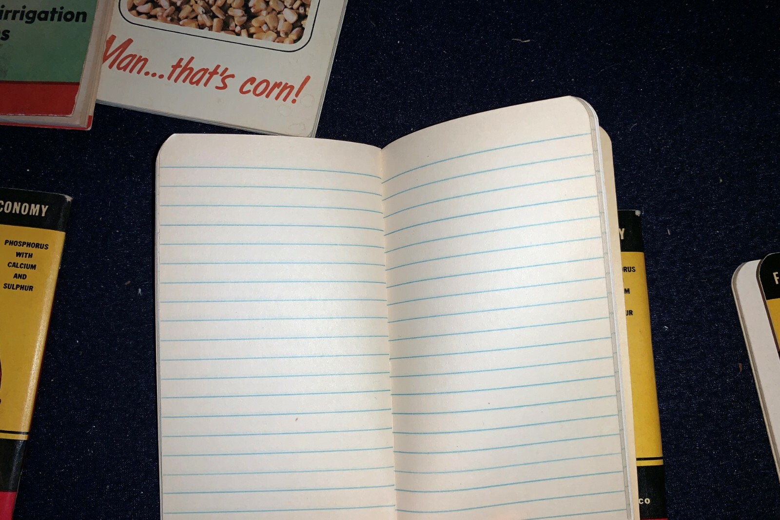 (Group of 6) Vintage AGRICO Fertilizer-Mathison-PAG Small MEMO & CALENDAR Books