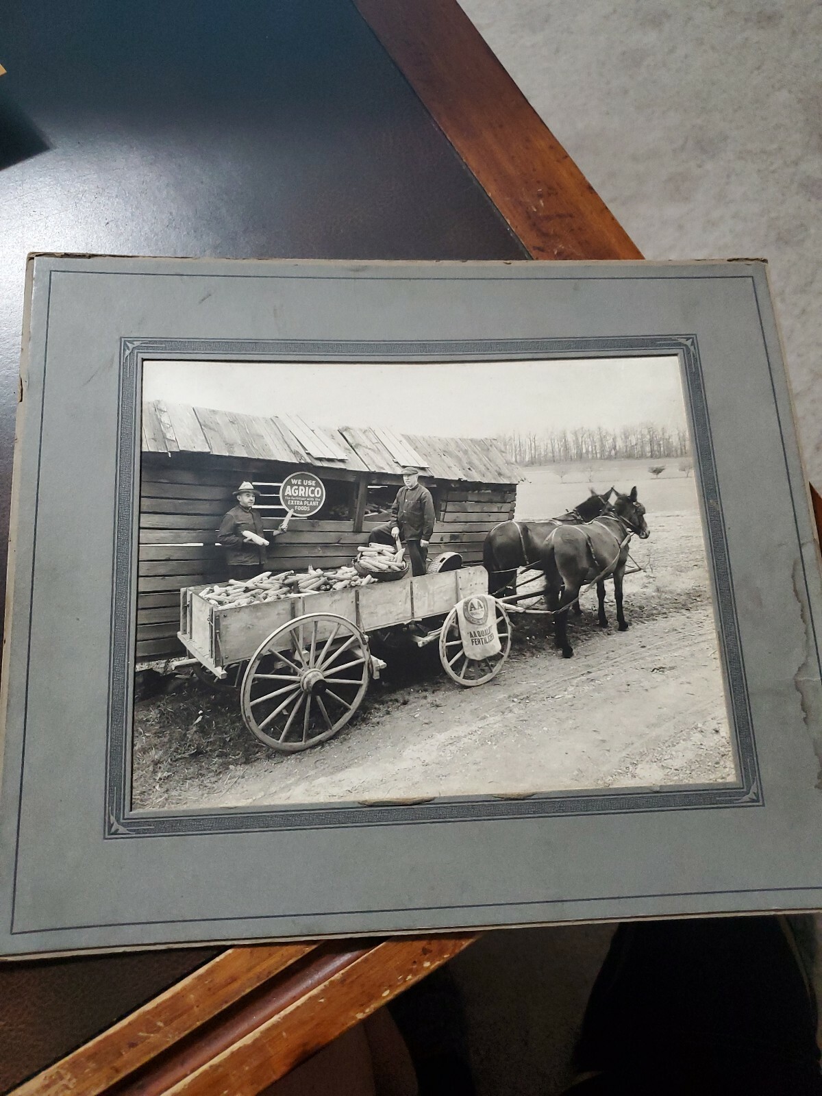 Vintage 14×11.5 1890s 2 Farmers Horse Wagon Wagon Photo Arico Feeds