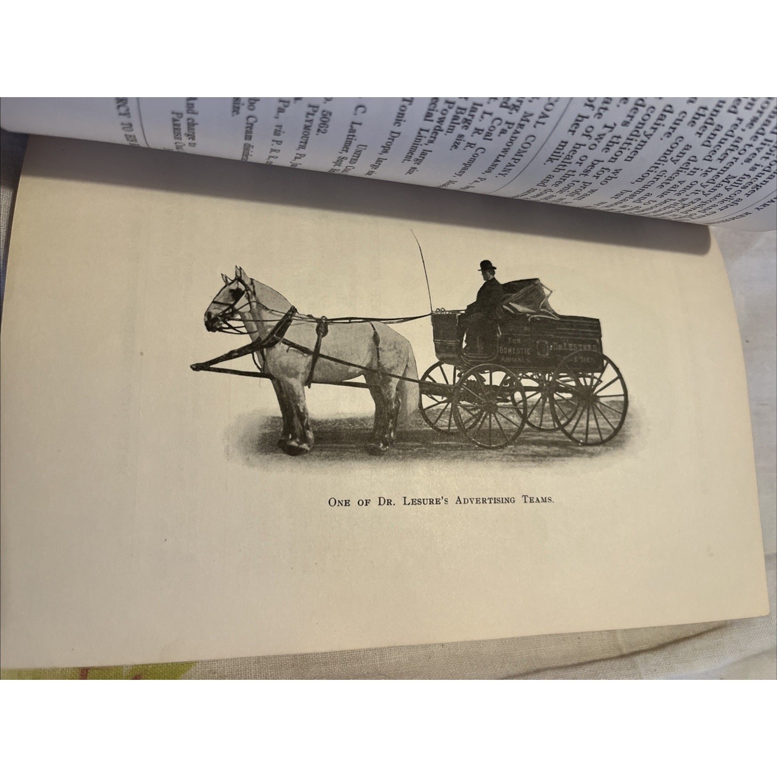 Dr Lesure&rsquo;s Famous Veterinary Remedies Farm Brochure Catalog Keene NH 1908 Rare
