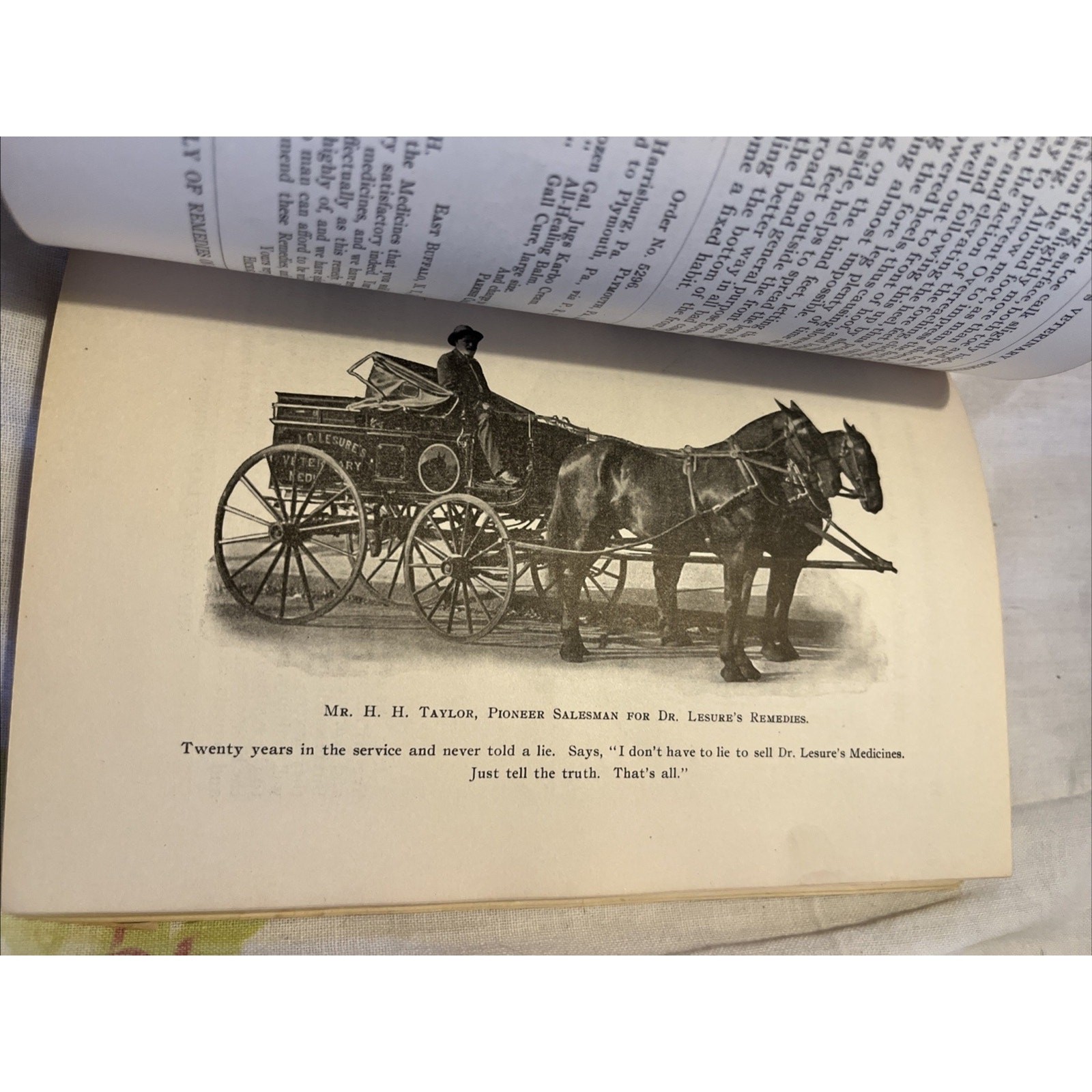 Dr Lesure&rsquo;s Famous Veterinary Remedies Farm Brochure Catalog Keene NH 1908 Rare