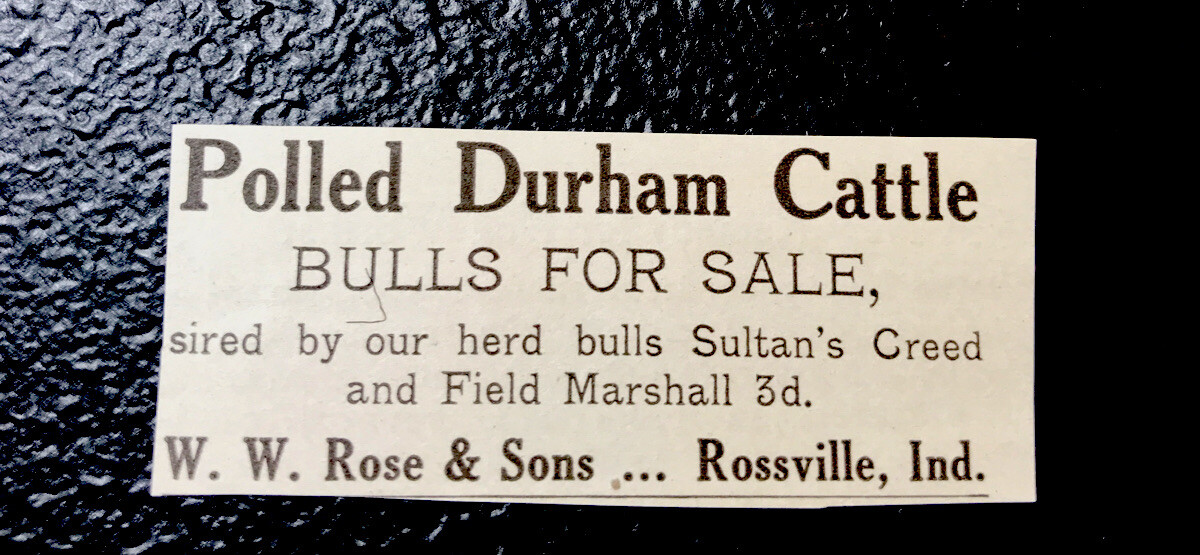 1917 Rise & Sons Cattle Farm Advertising – Rossville – Indiana – Cow