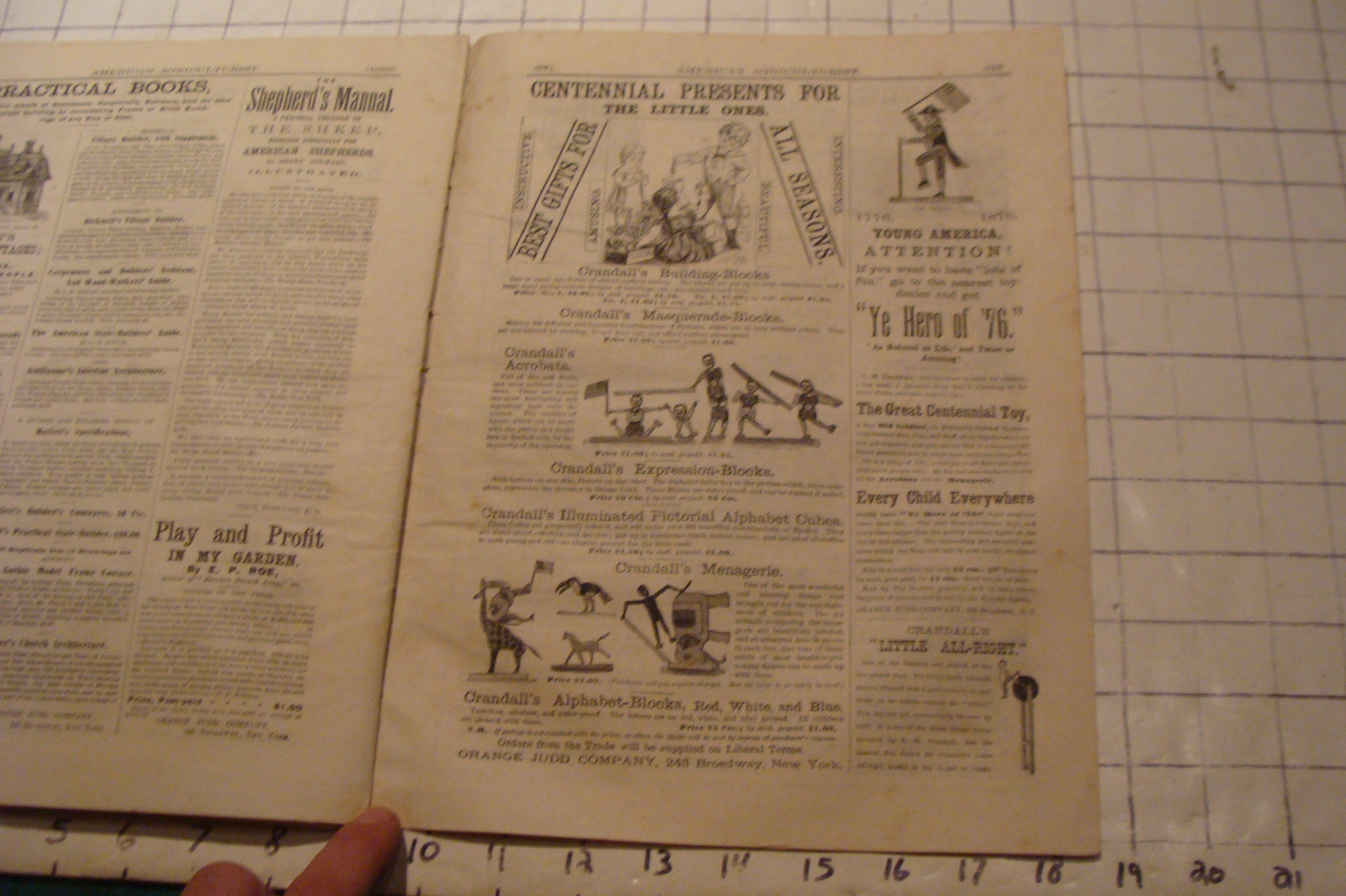 Vintage American Agriculturist 1876 august: TIGER, big puzzle, CRANDALL ADS