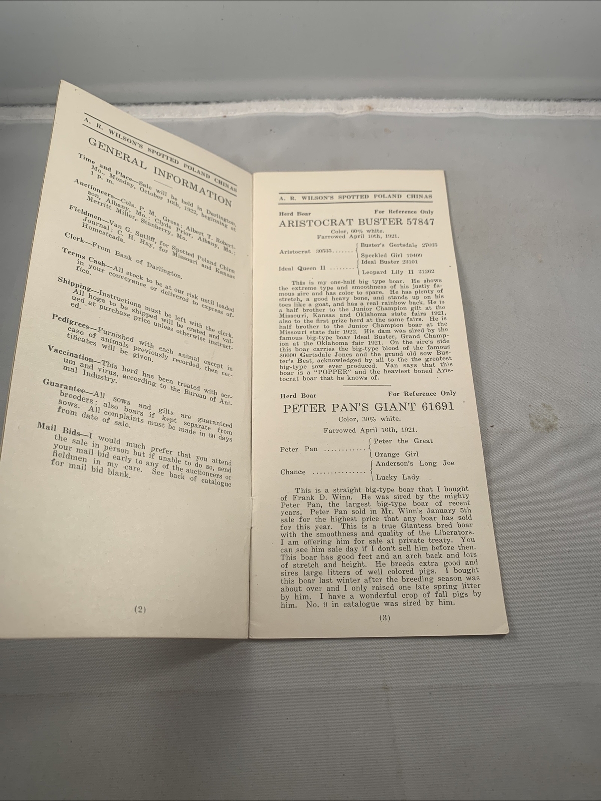 1922 Hog Sale Brochure Wilson’s Prolific Poland China Pig Farm Darlington MO