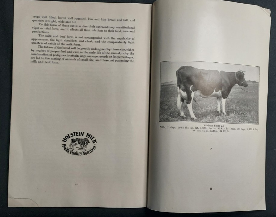 1913 Booklet Holstein Friesian Cattle Association Brattleboro VT Scale Of Points