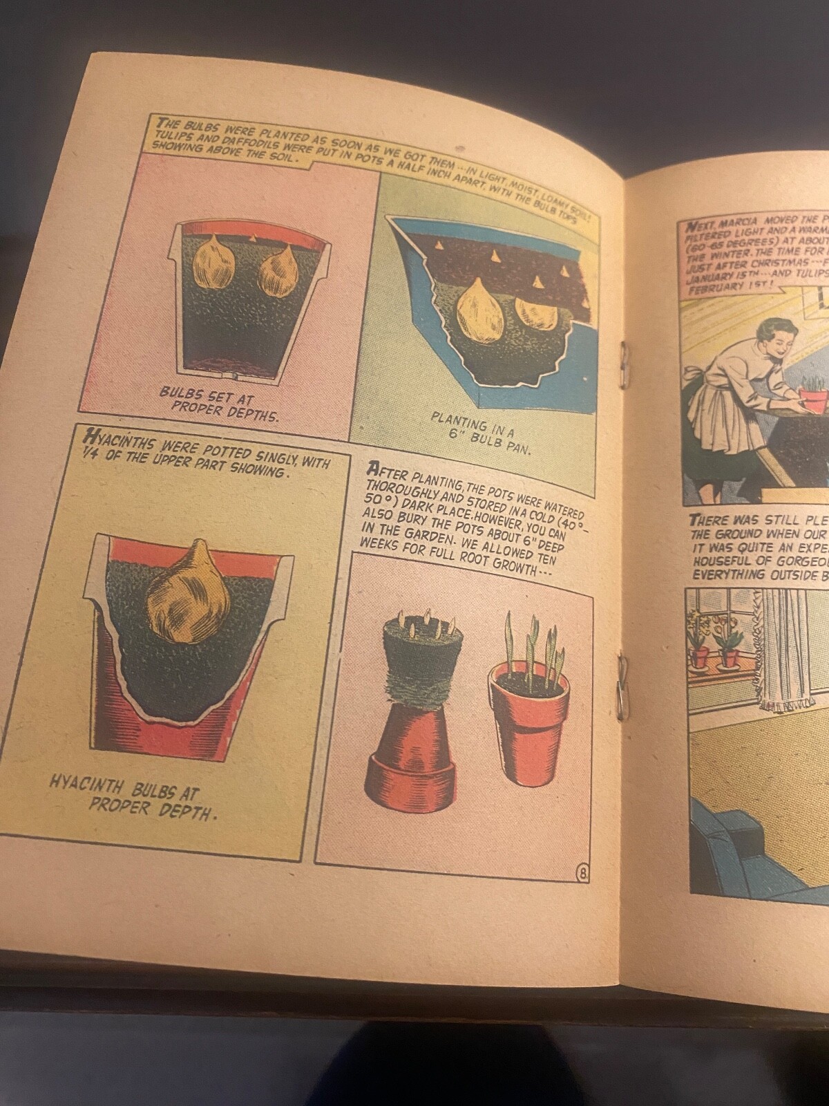 Vintage Ephemera – 1956 Bulb Magic Pamphlet – Bulb Growers Of Holland