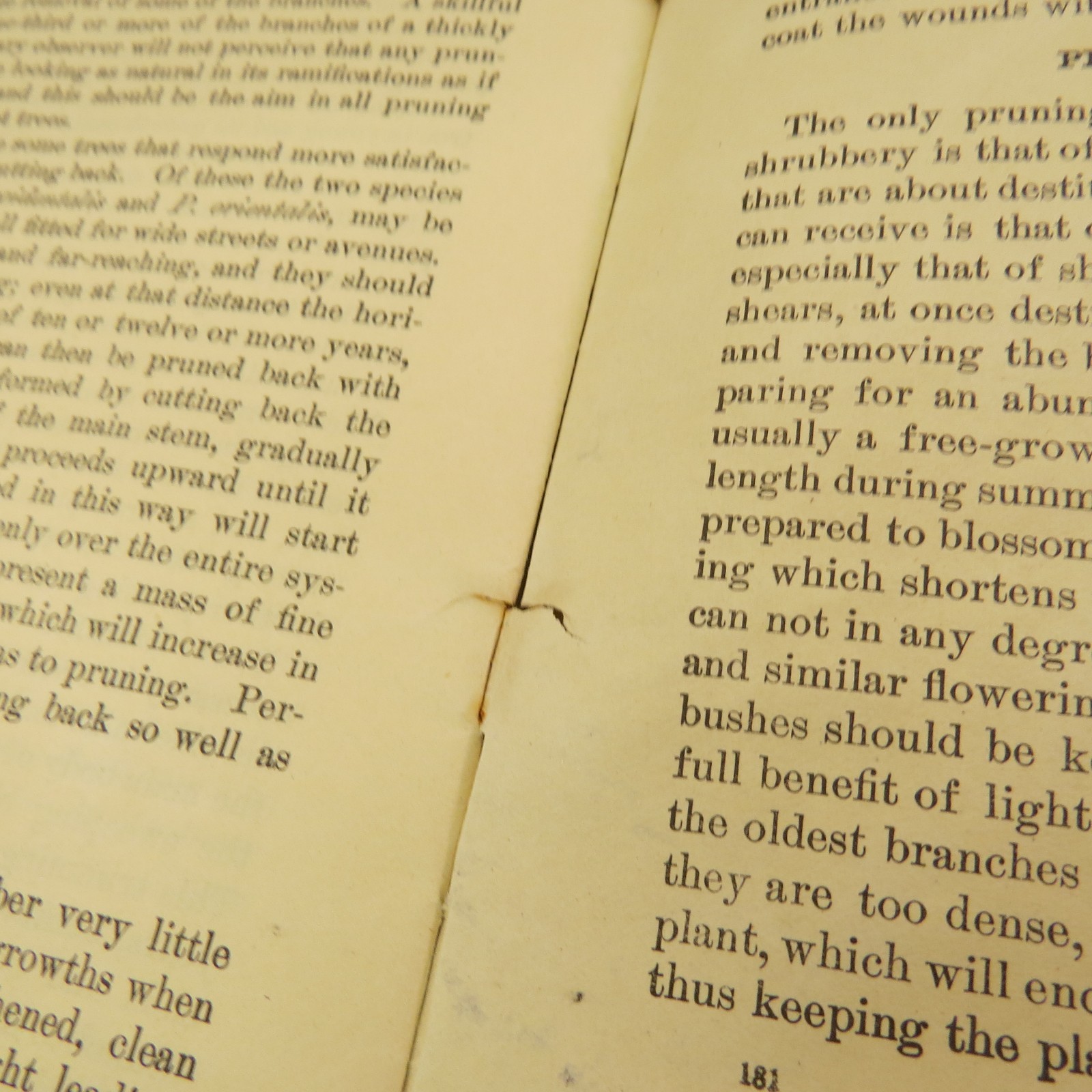 US Department of Agriculture, Farmers&rsquo; Bulletin No. 181 Pruning – 1916