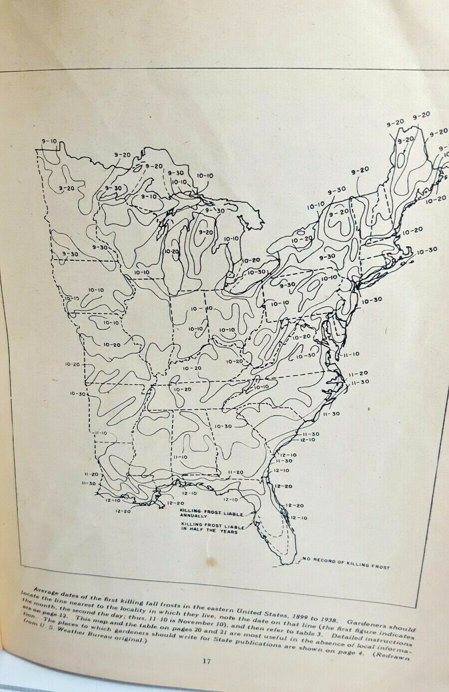 1945 USDA Dept. of Agriculture Growing Vegetables In Town and City