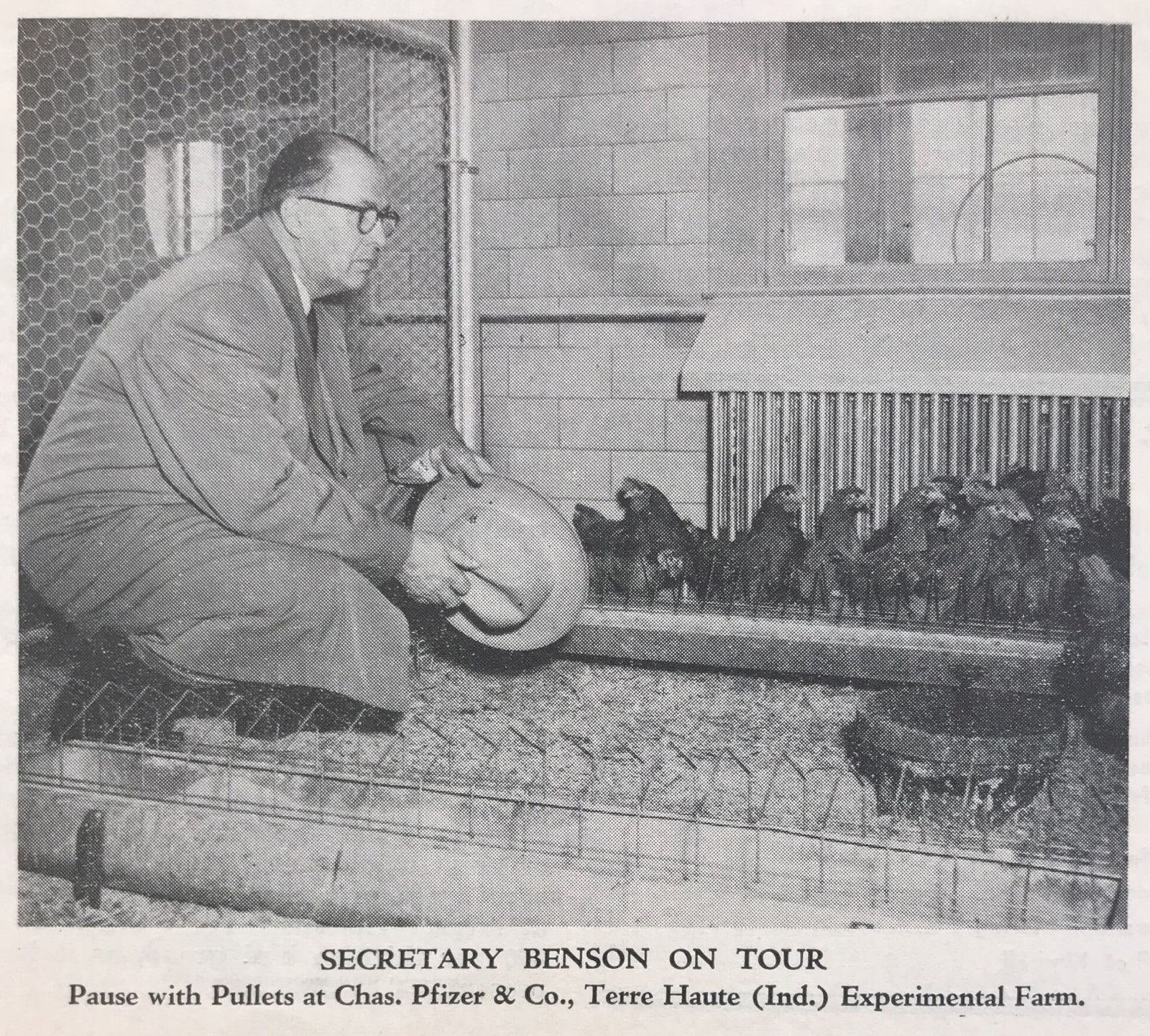 1955 MAY JULY TWO CACKLE & CROW POULTRY PAPER- MONTHLY JOURNAL, POULTRY INDUSTRY