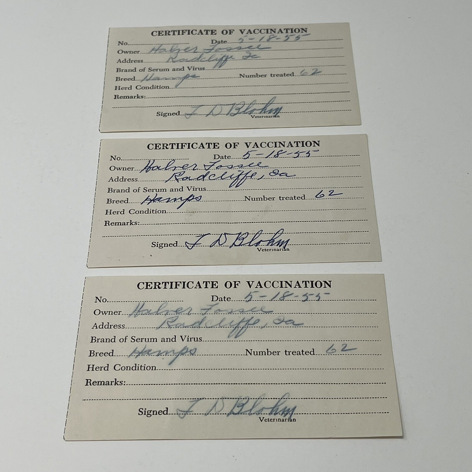1955 Certificate Of Vaccination Radcliff IA Receipt For 62 Hamps Hampshire Cows