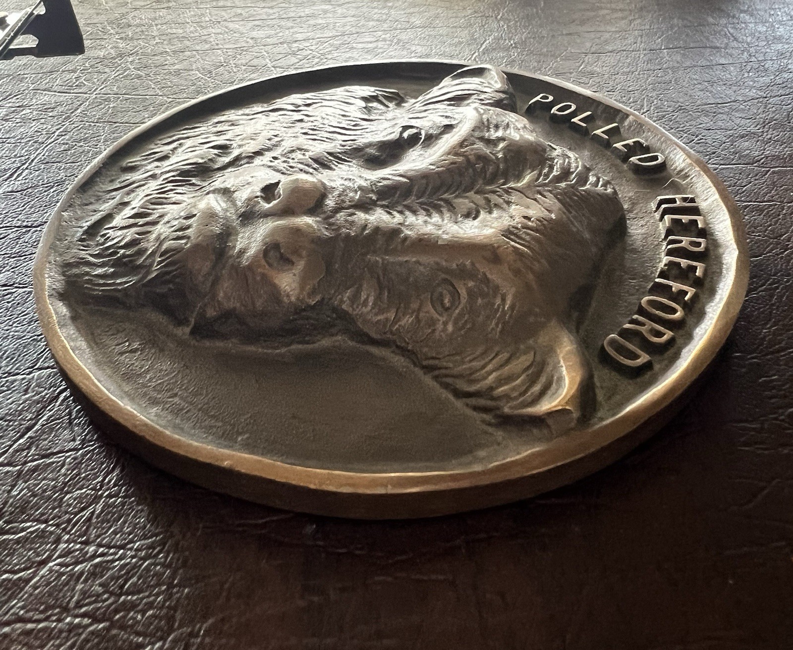 Vintage Polled Hereford Cattle Bronze Desk Display Paperweight