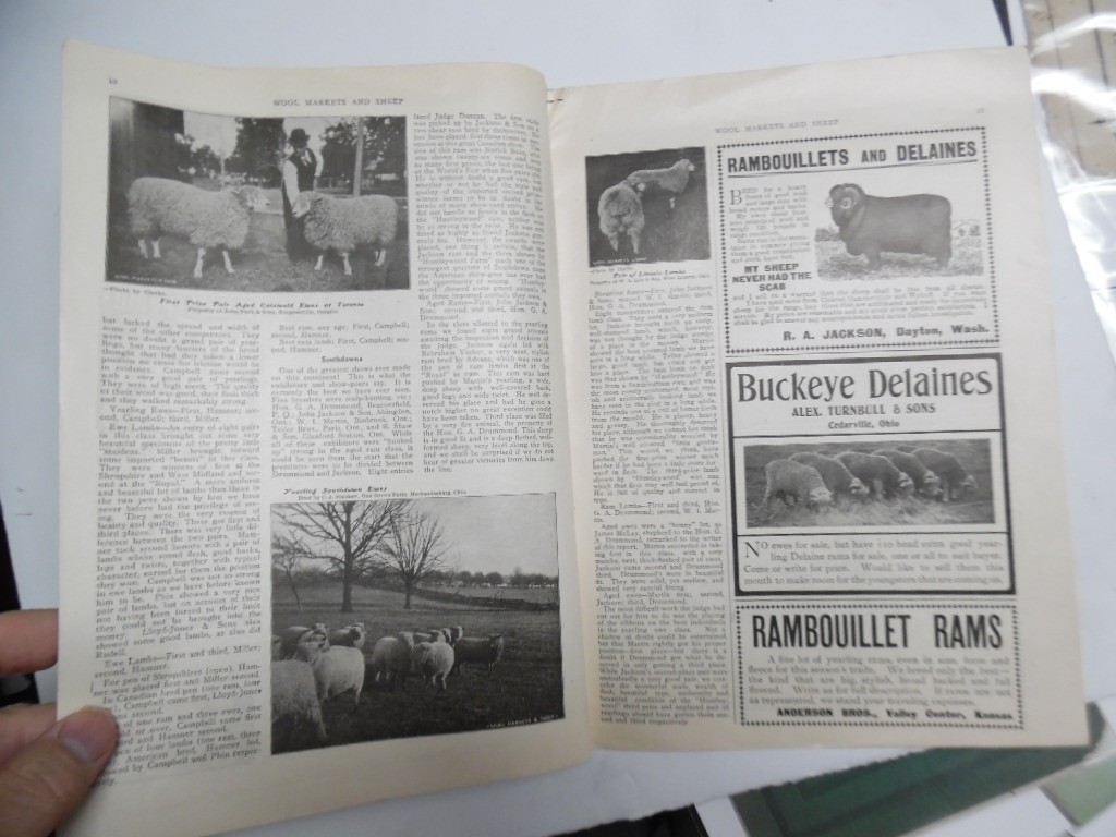 1901 Wool and Sheep Markets Journal Devoted To Sheep Cultural Pan-American Expo