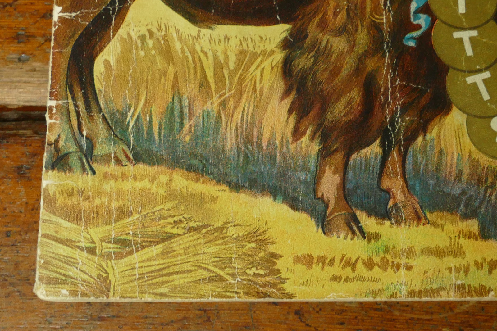 Antique 1904 Buffalo Pitts Farm Implement Catalog Threshers Buffalo NY