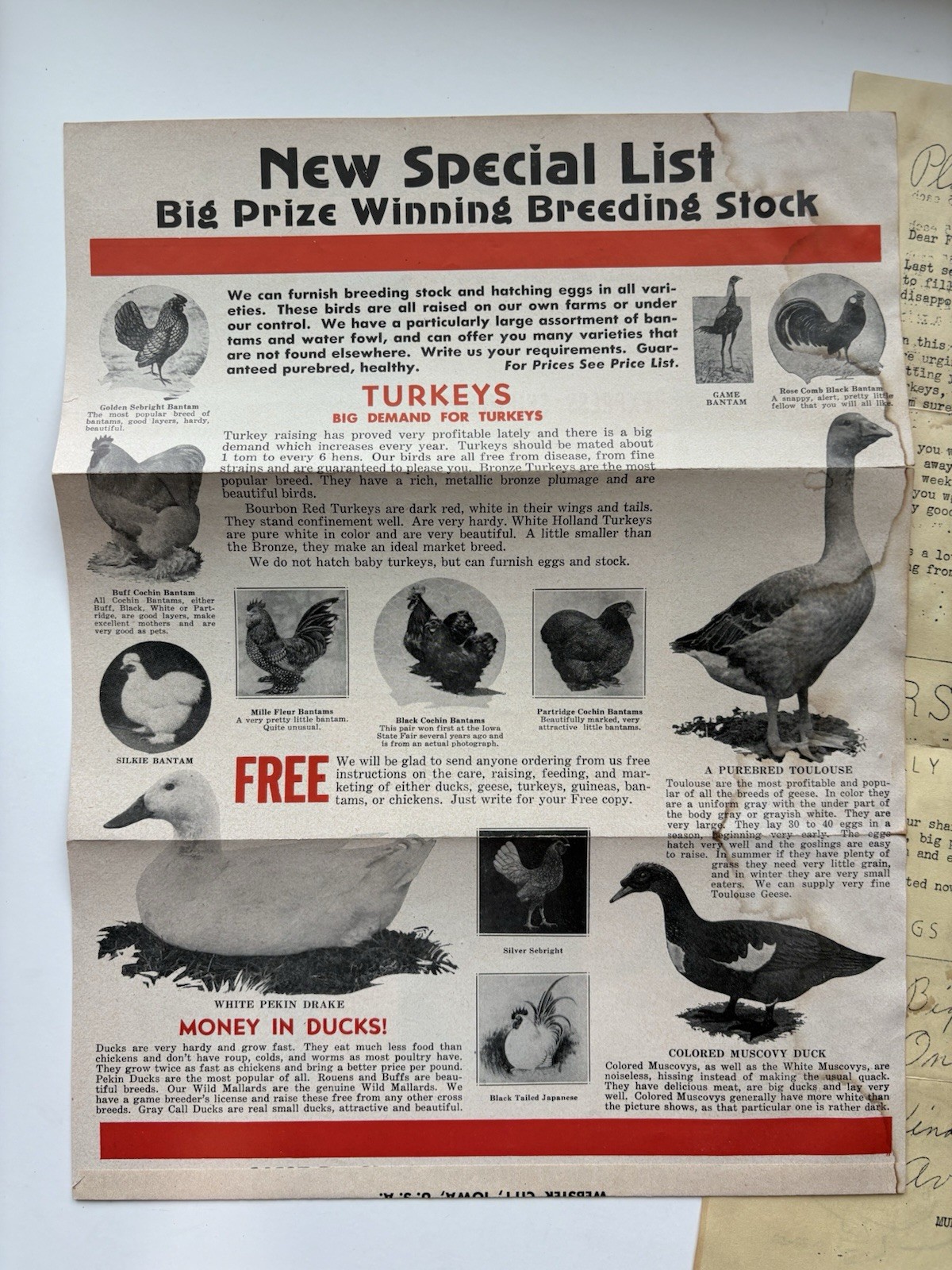 Vintage 1948 Murray McMurray Hatchery Webster City Iowa Chicks Stock Advert Lot