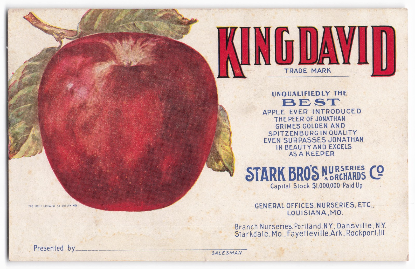 VTG Stark Bro&rsquo;s Nurseries King David Apple Advertising Label/Trade Card Litho