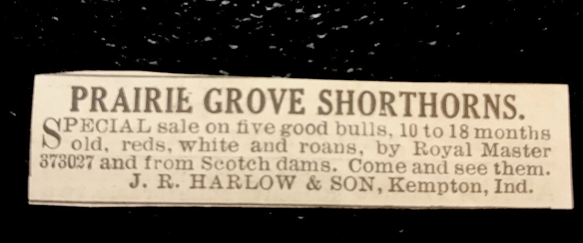 1919 J.R. Harlow & Son Cattle Advertising – Kempton – Indiana – Cow – Farm