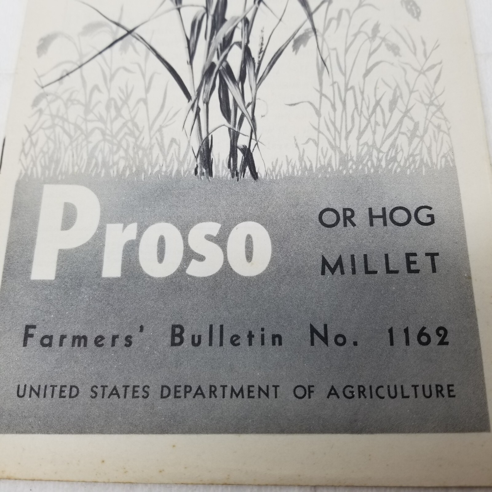 Proso Hog Millet 1937 Farmers&rsquo; Bulletin Booklet 1162 USDA Photos Charts