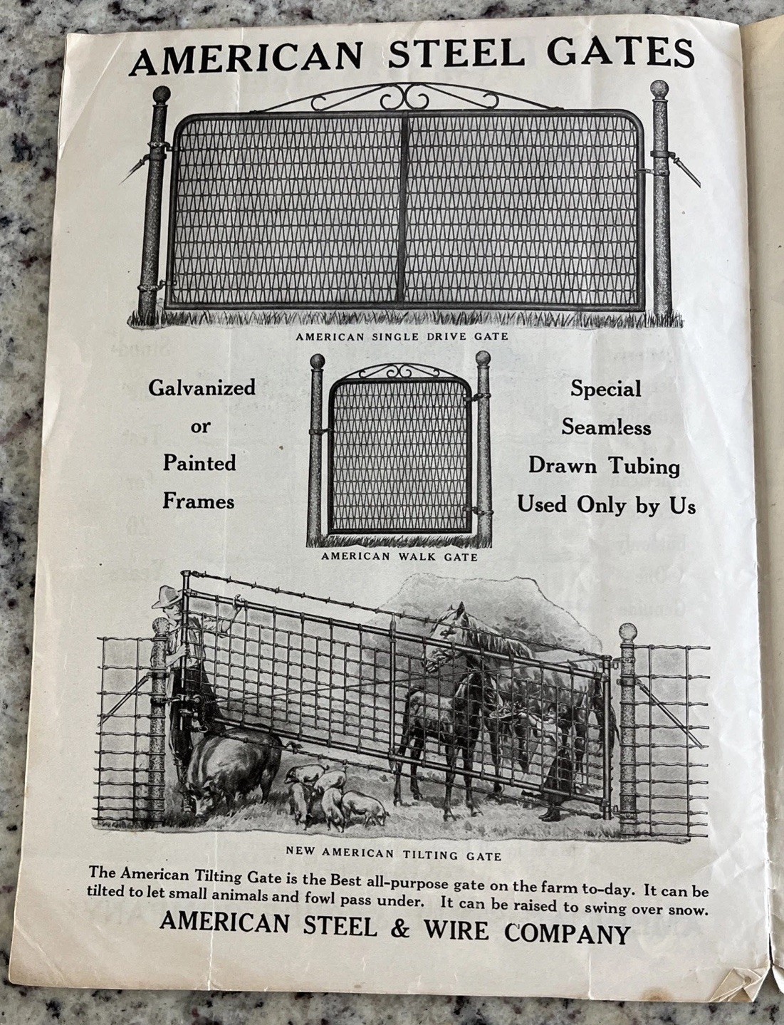 Antique 1915 American Farm Fence Cattle Trade Magazine Comet Shorthorn Bull