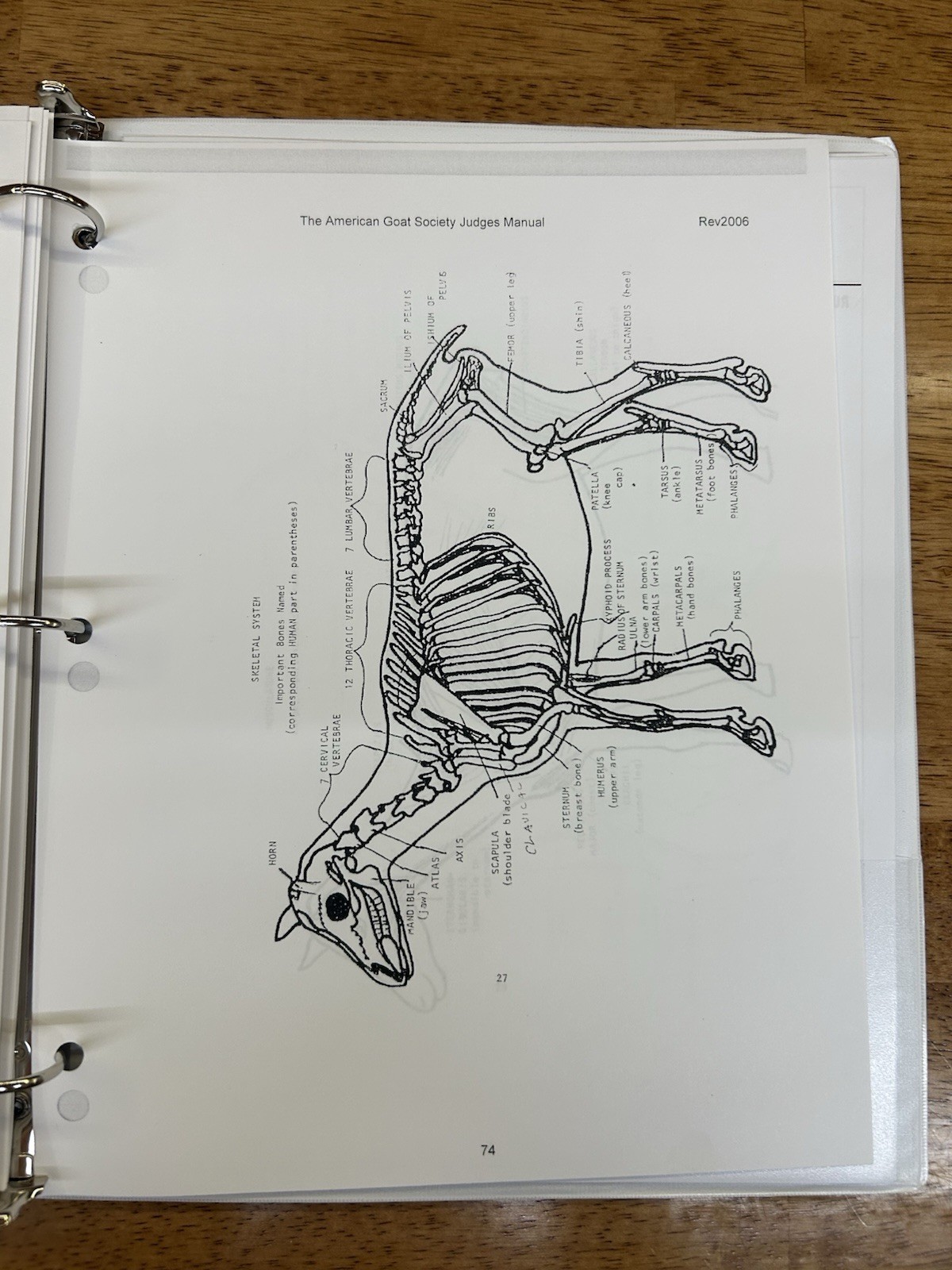 American Goat Society Official Judges Training Manual ~ (For Dairy Goat Showing)