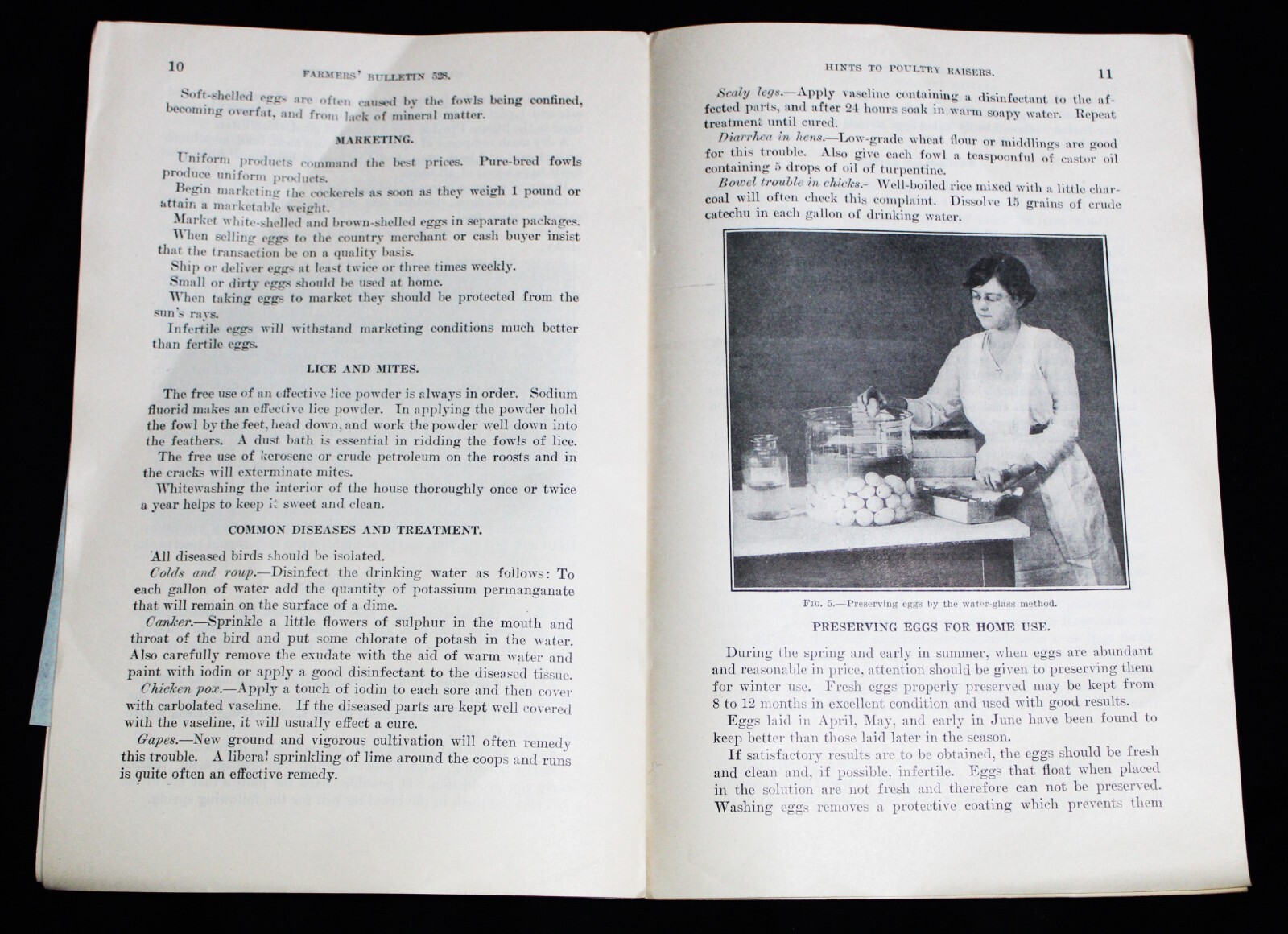 HINTS TO POULTRY RAISERS BULLETIN BROCHURE 1918 U.S. DEPARTMENT OF AGRICULTURE