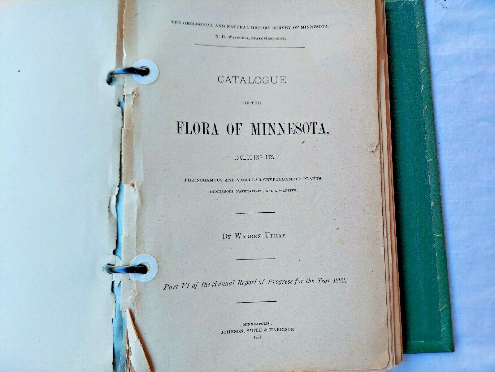 1884 « Flora of Minnesota » in vintage lawn care book Scotts Lawn Care binder