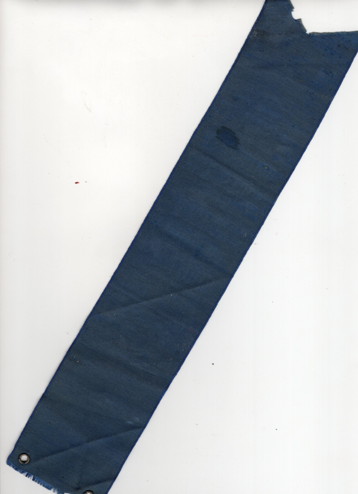 1910 – St. Louis Poultry Pigeon and Pet Stock Association 1st Prize Ribbon XL2Z