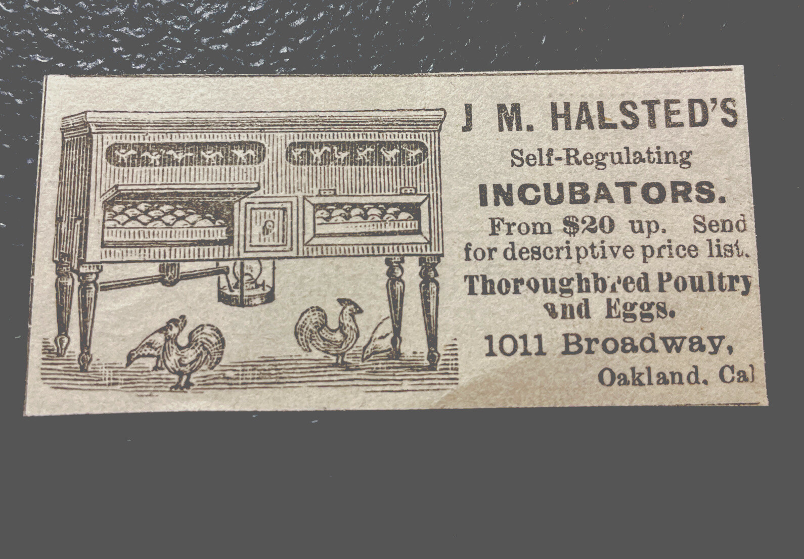 ORIGINAL 1883 Chicken Farm Advertising – Oakland – California