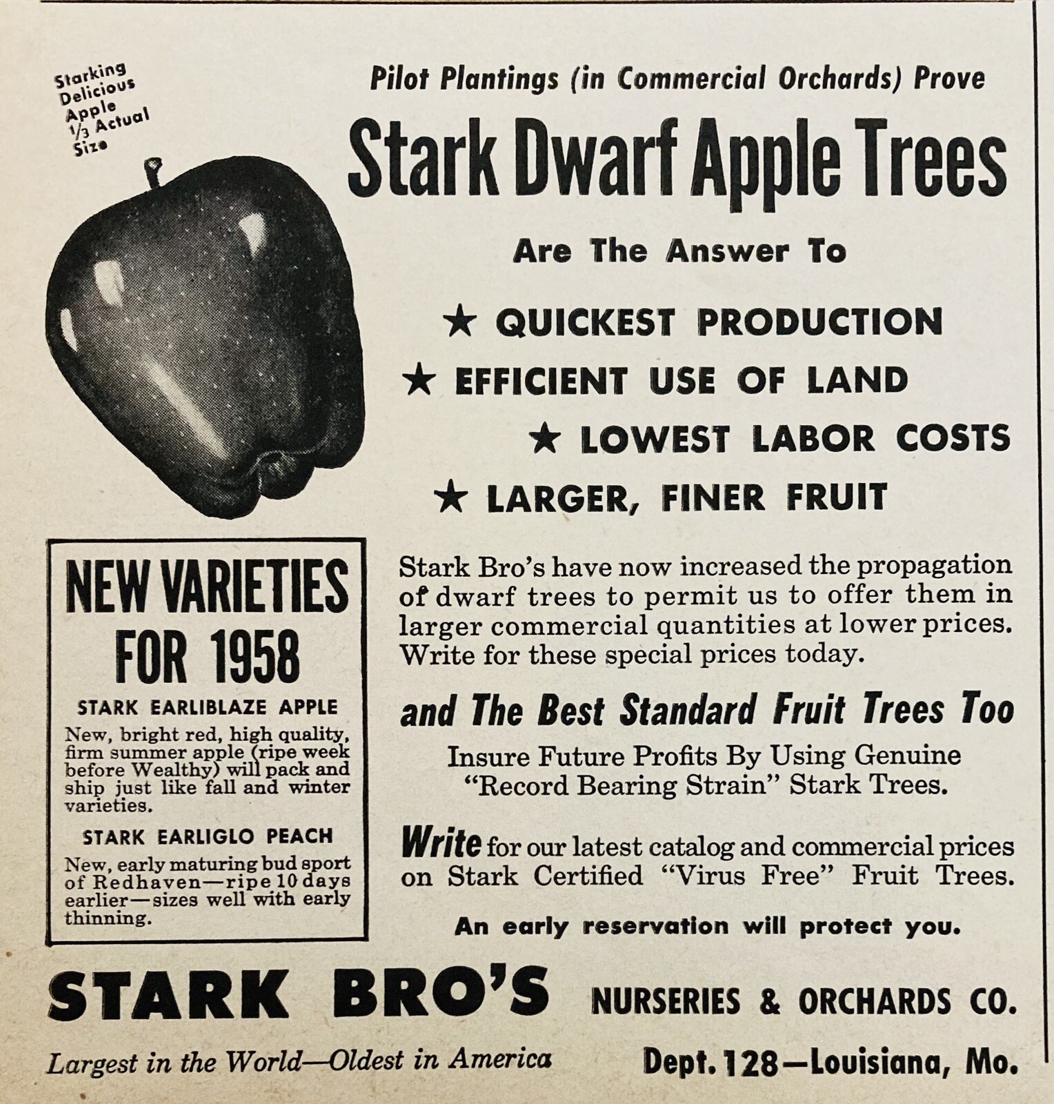 1958 AD.(XF23)~STARK BROS. ORCHARD CO. LOUISIANA, MO. STARK DWARF APPLE TREES