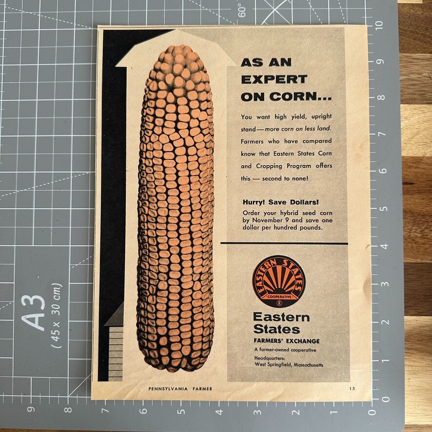 Eastern States Farmers Exchange Hybrid Corn Agriculture Vintage Print Ad 1963