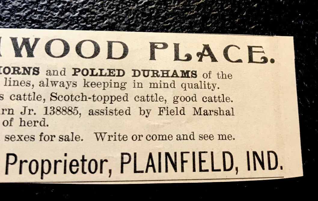 1902 Buttonwood Place Farm Cattle Cow Advertising – Plainfield – Indiana