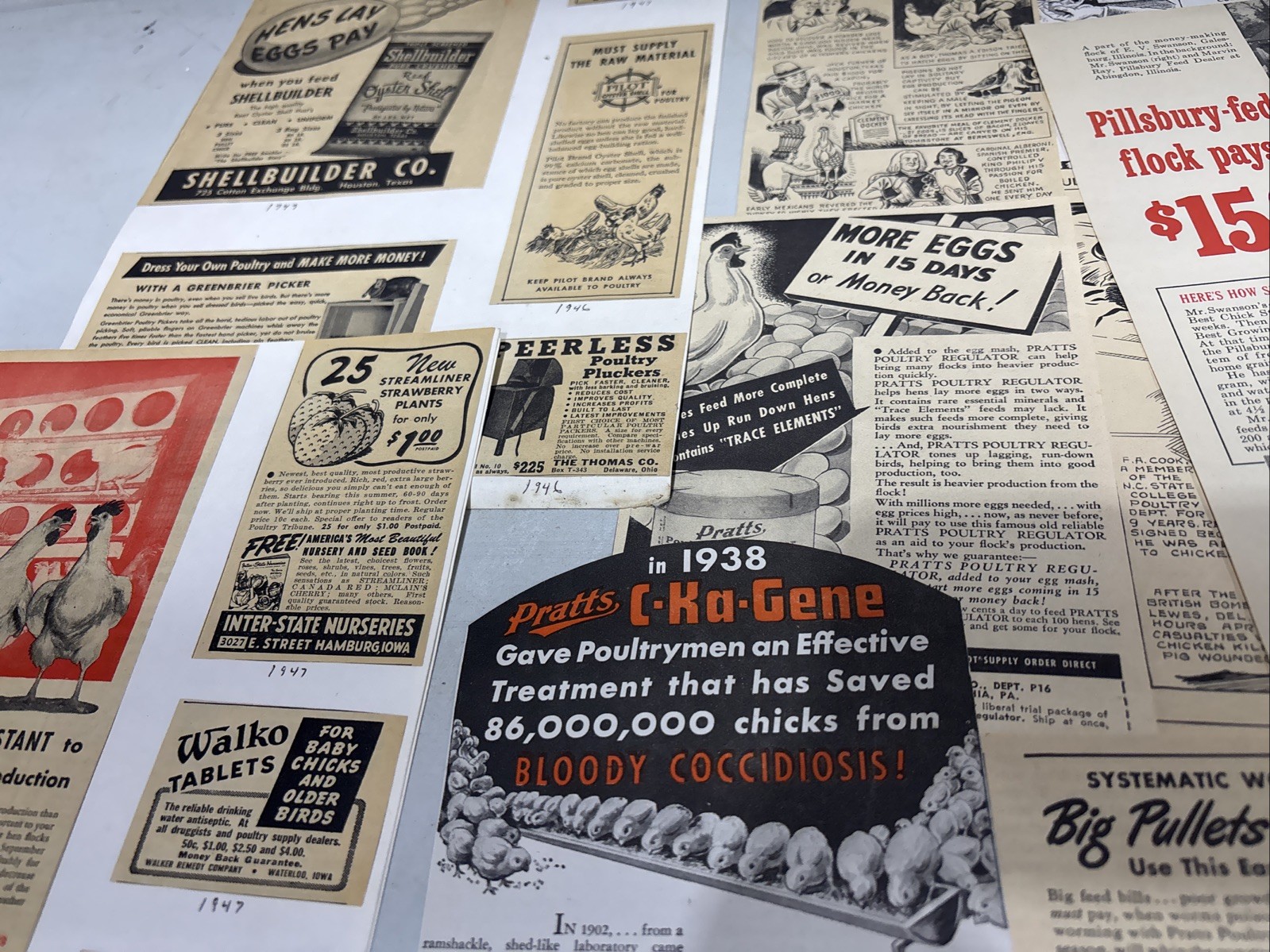 Lot Of 60 Chicken Poultry Egg Related Magazine Print ads 1930-50s