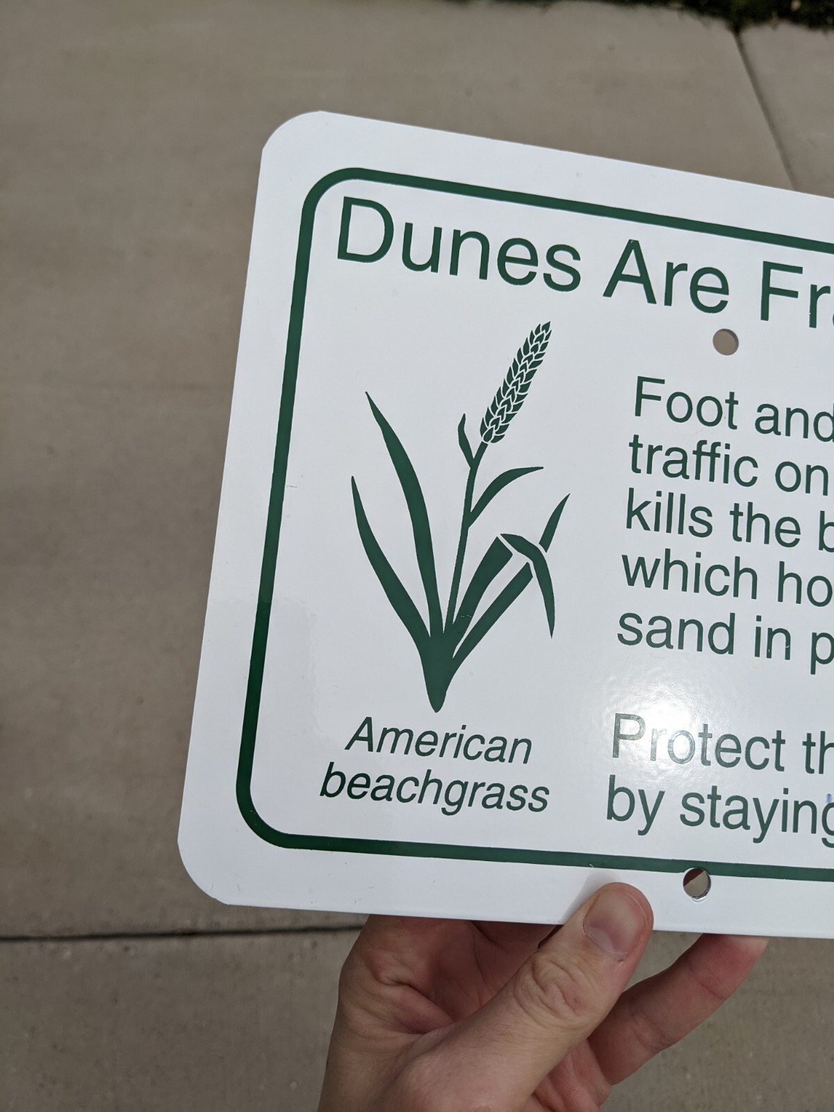 Rare Vintage Dunes Are Fragile Protect The Dunes Porcelain/Enamel Sign