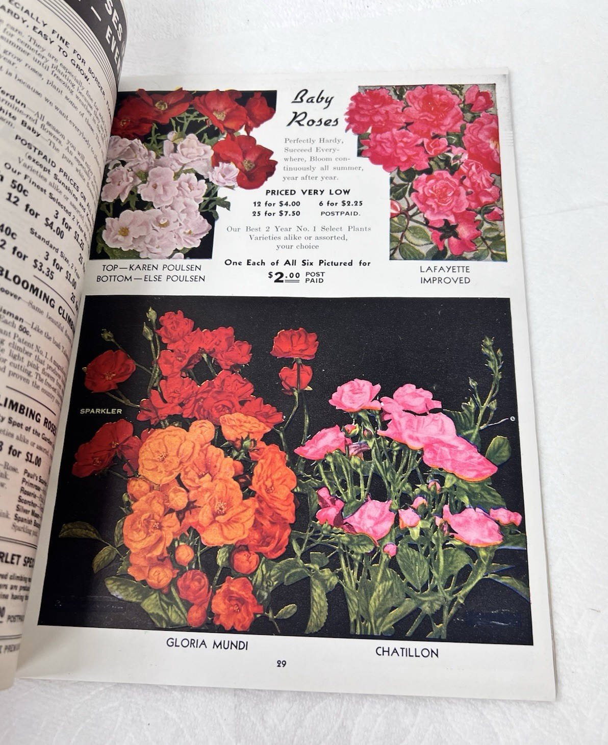 1938 Inter-State Nurseries Catalog 28 Color Pages Fruits Flowers Vegetables OHIO