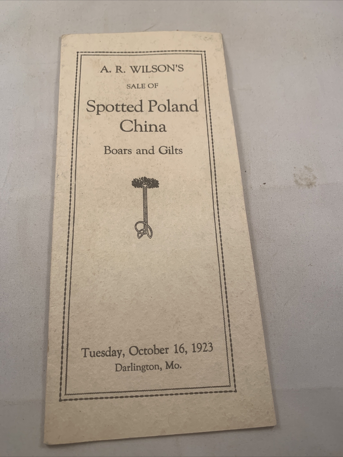 1923 Hog Sale Brochure Wilson’s Prolific Poland China Pig Farm Darlington MO
