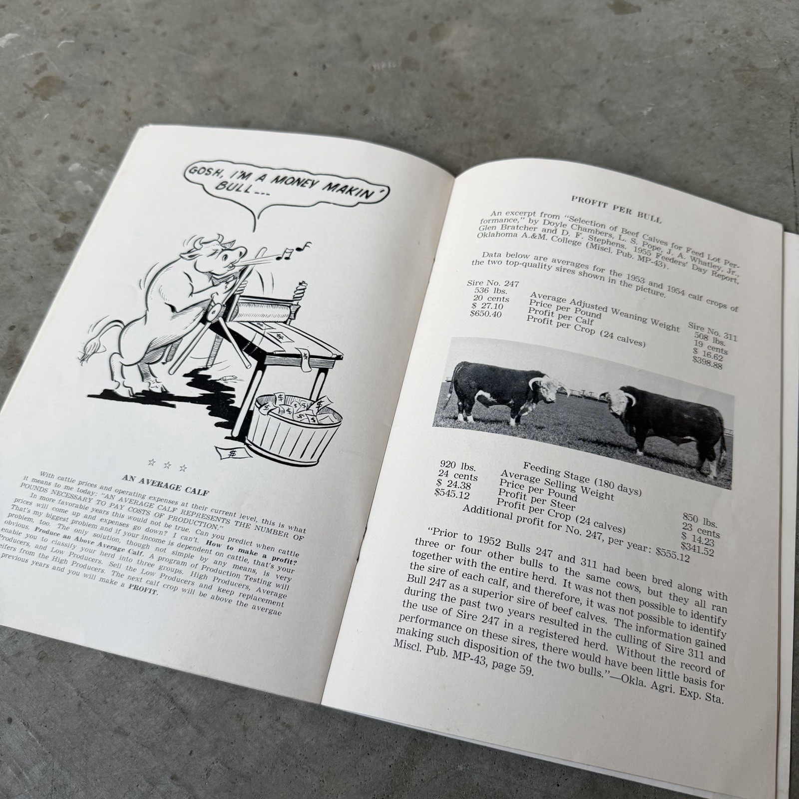 Production Testing Pamphlet Beef Cattle Farming Oklahoma 1955 Codding & Sons