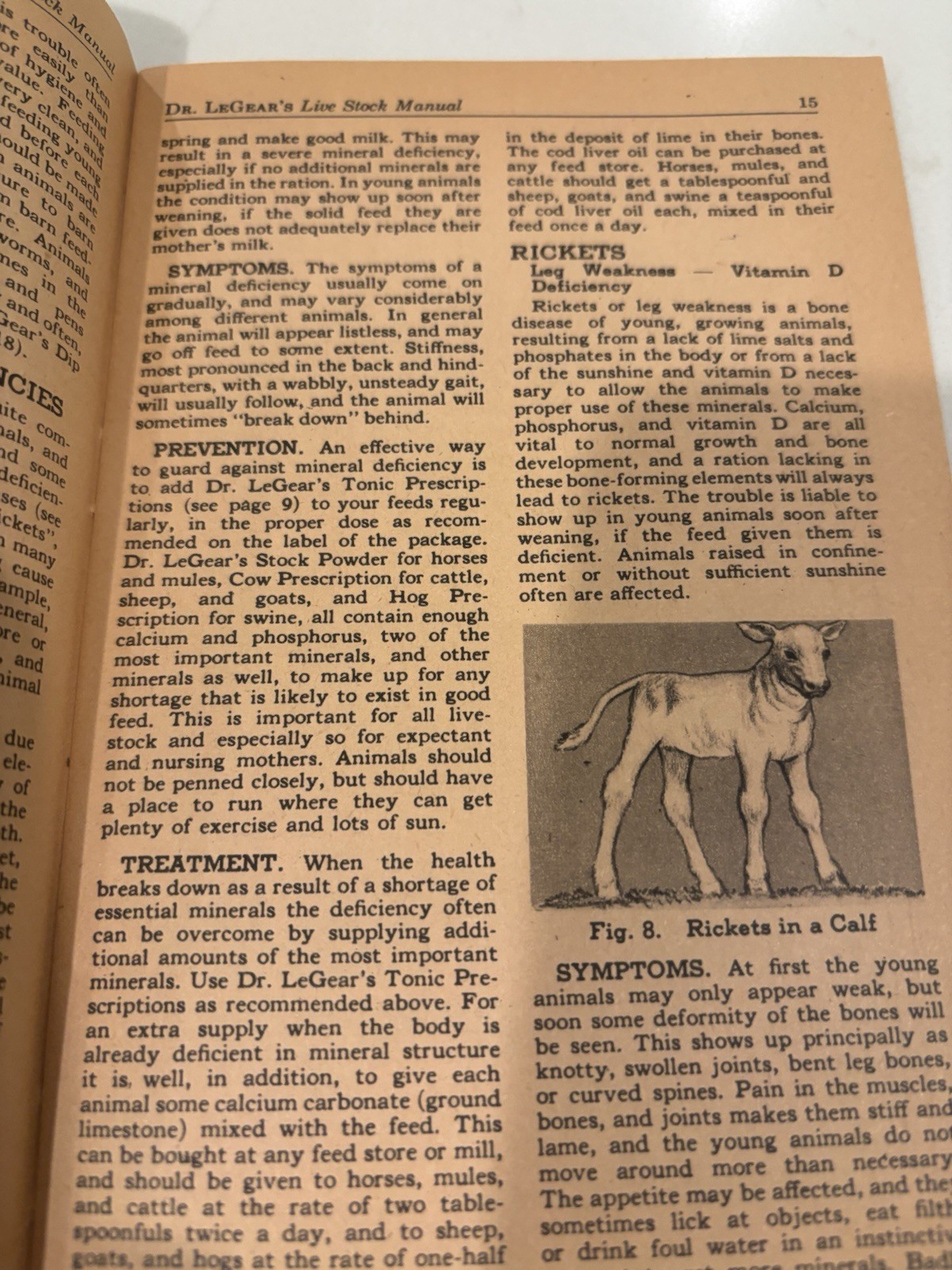 Vintage Dr LeGear Live Stock Manual Poultry Guide Farm Advertising Booklet 25c