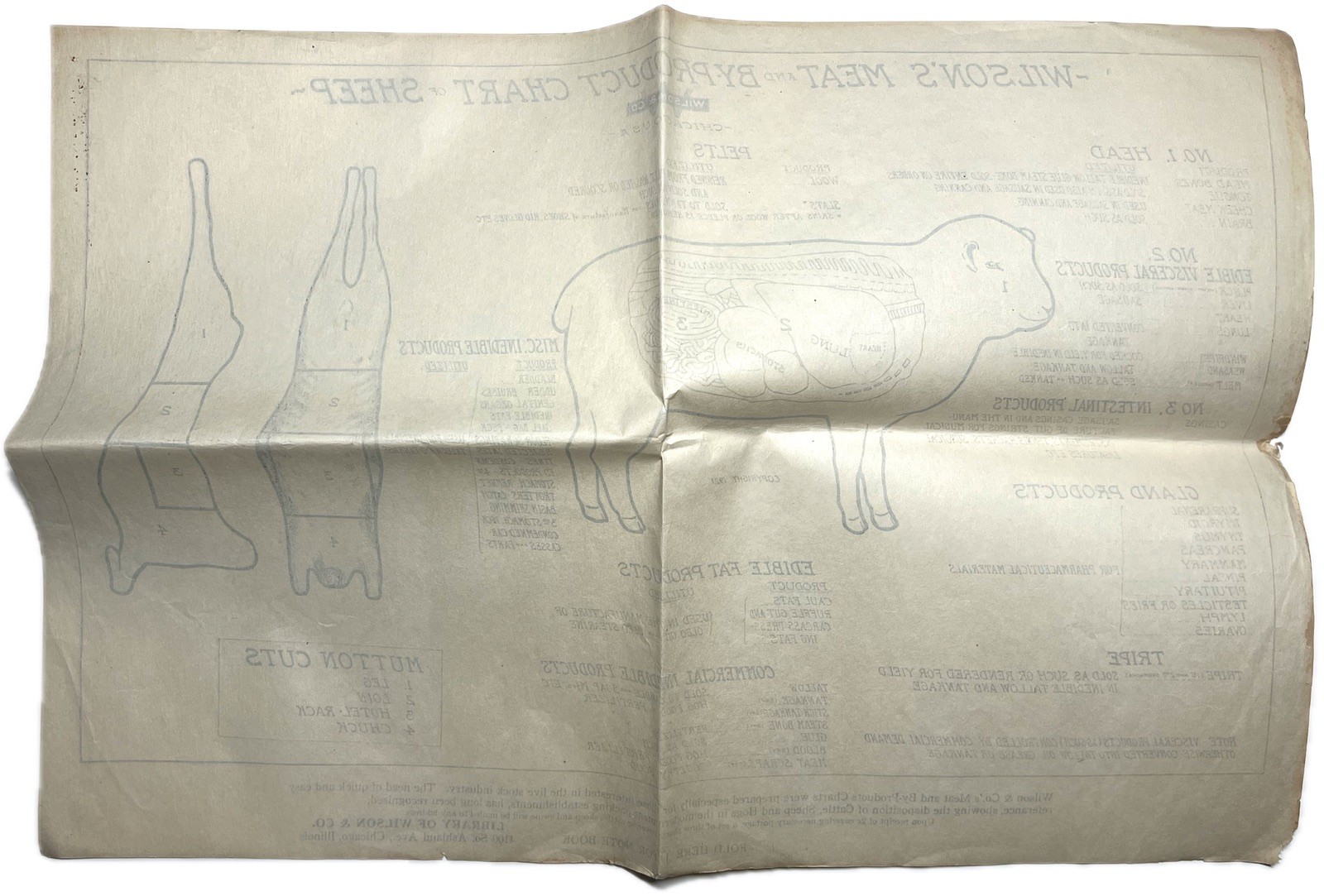 1921 WILSON MEAT BYPRODUCT SHEEP CHART CHICAGO STOCKYARD BUTCHER POSTER EPHEMERA