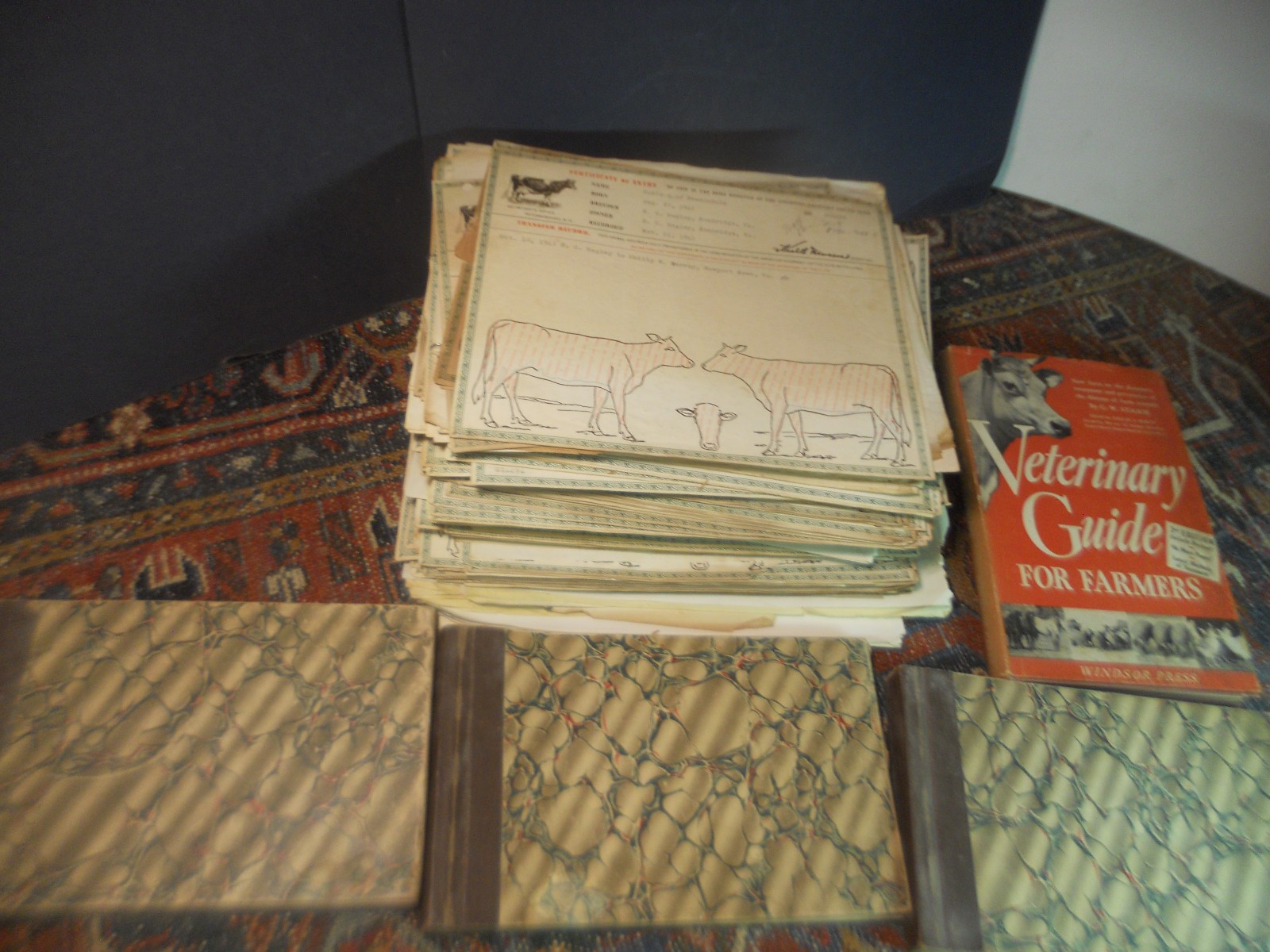 450+ CATTLE CLUB Vintage American GUERNSEY CERTIFICATES BOOKS Newport News VA