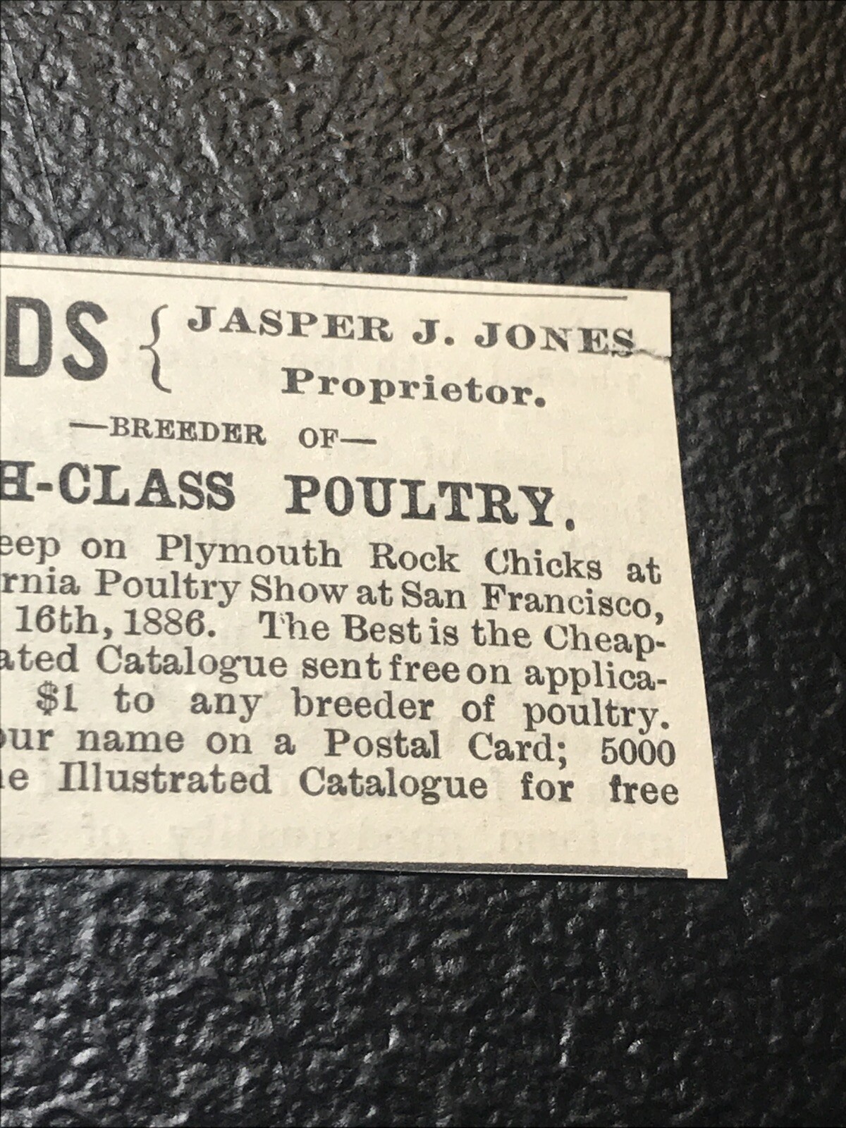1886 Alhambra Poultry Yards Chicken Farm Advertising – Martinez – California