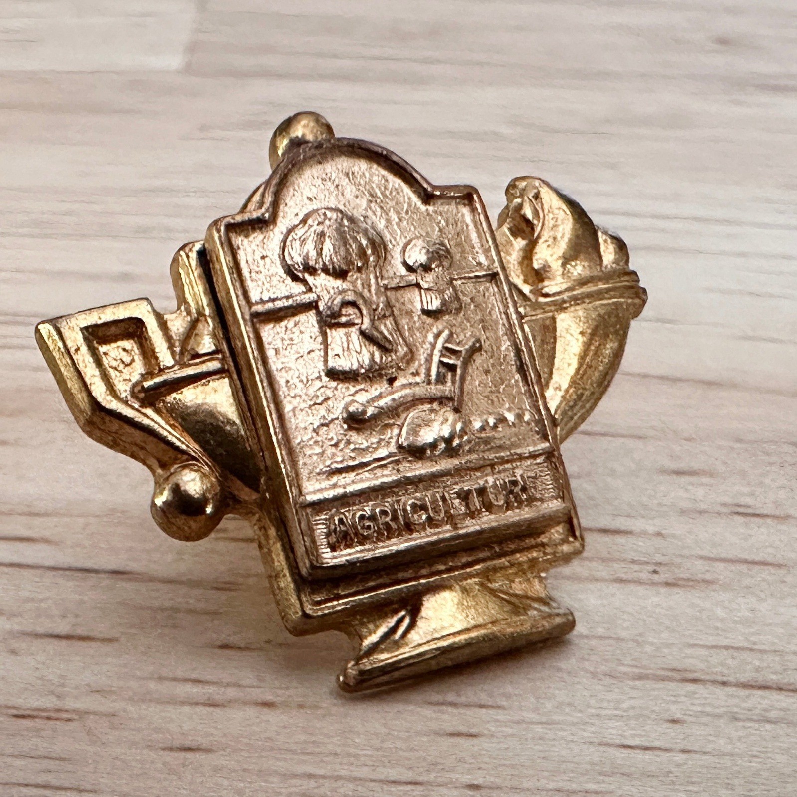 Vintage FFA Pin Lot Soil Conservation Crop Farming Agriculture 1965 CHS Pendant