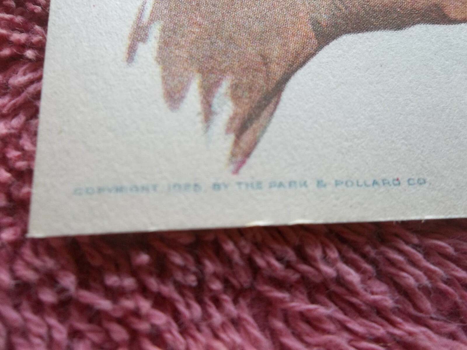 PARK & POLLARD UNIVERSAL RATION ECONOMY FEED STATIONERY Tunkhannock PA COWS