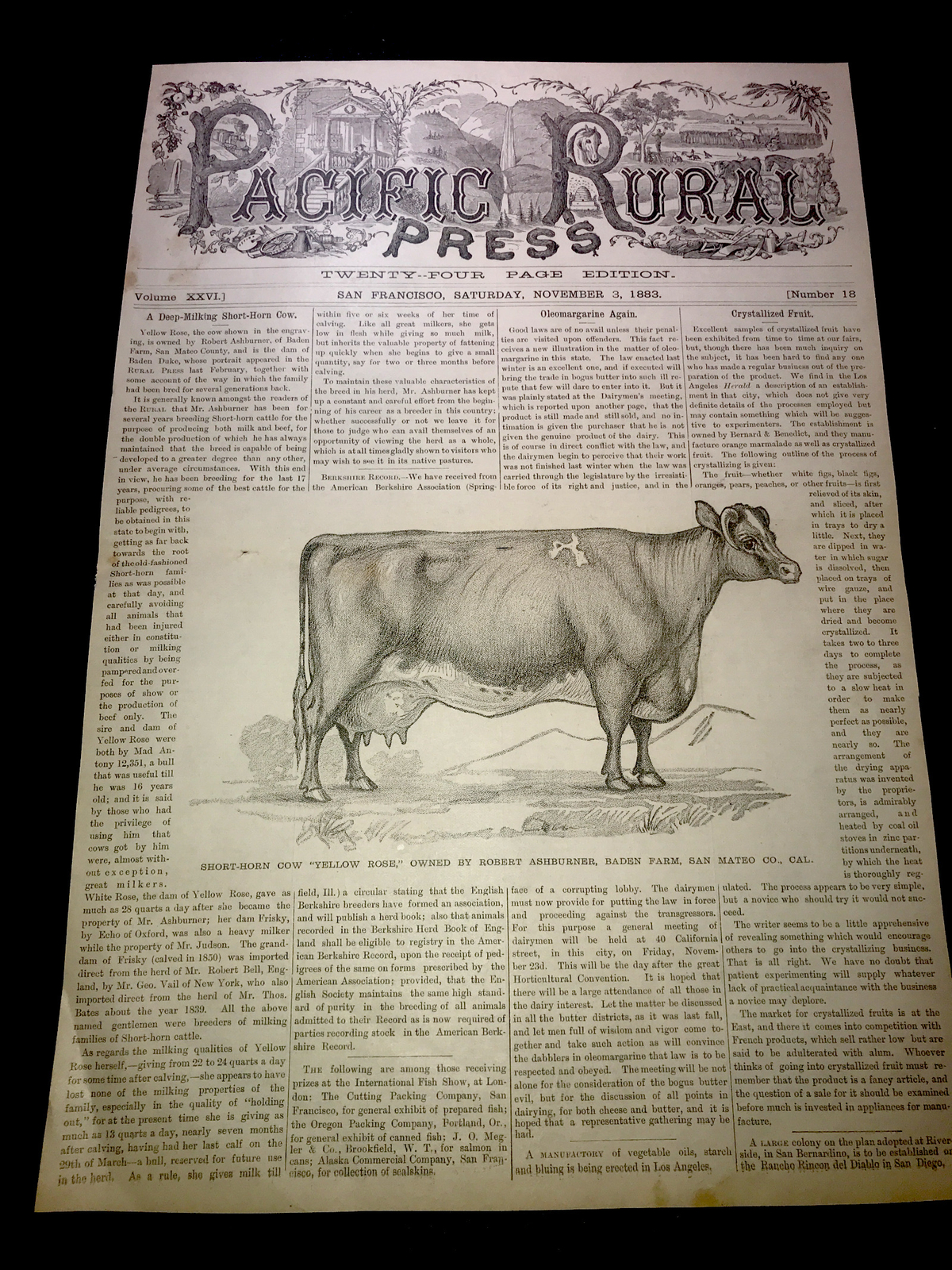 1883 Baden Farm Short Cow Advertising & Article – San Mateo County California