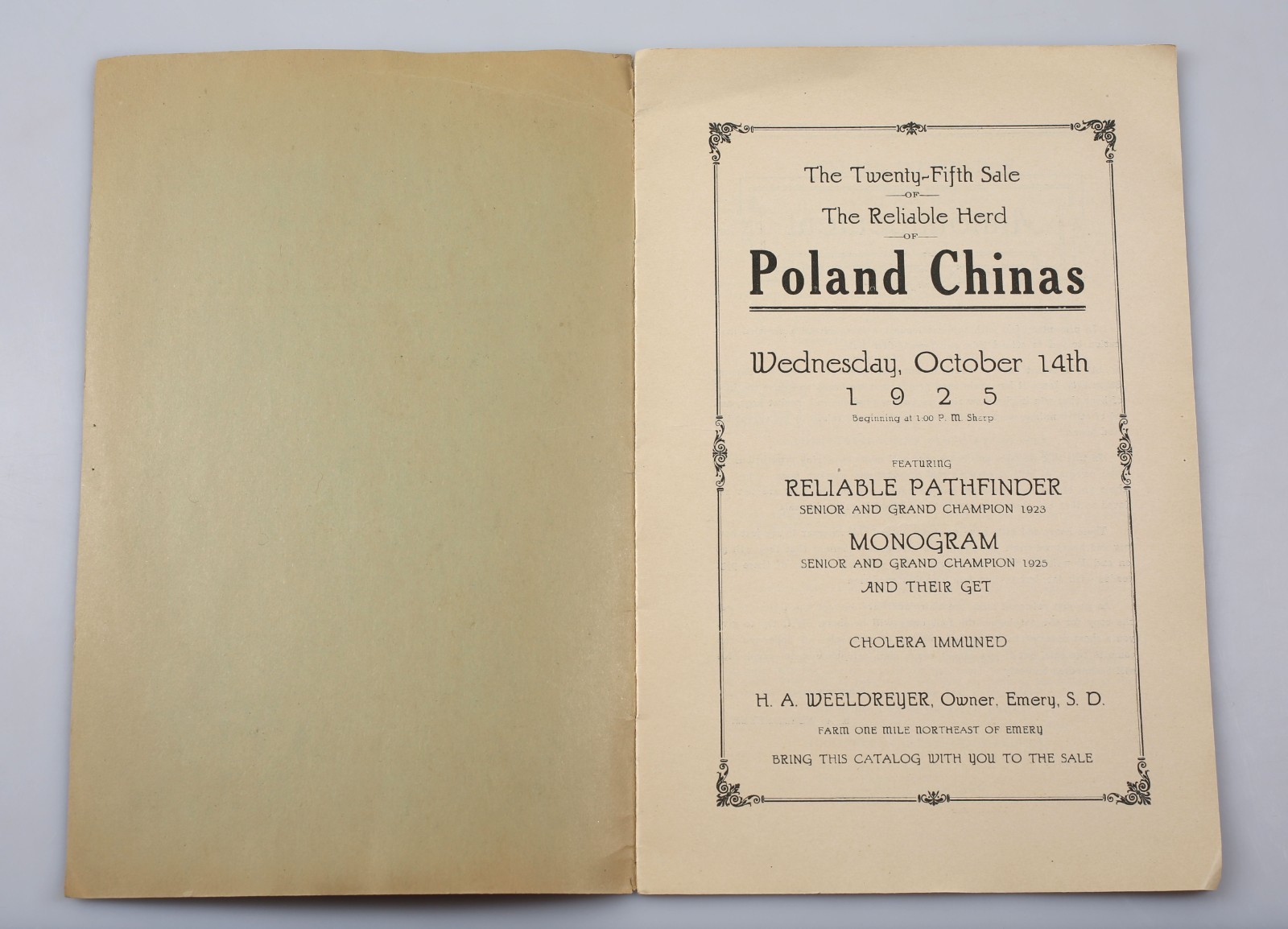 Vintage 1925 Poland China Pig Sale Cholera Immuned Emery South Dakota