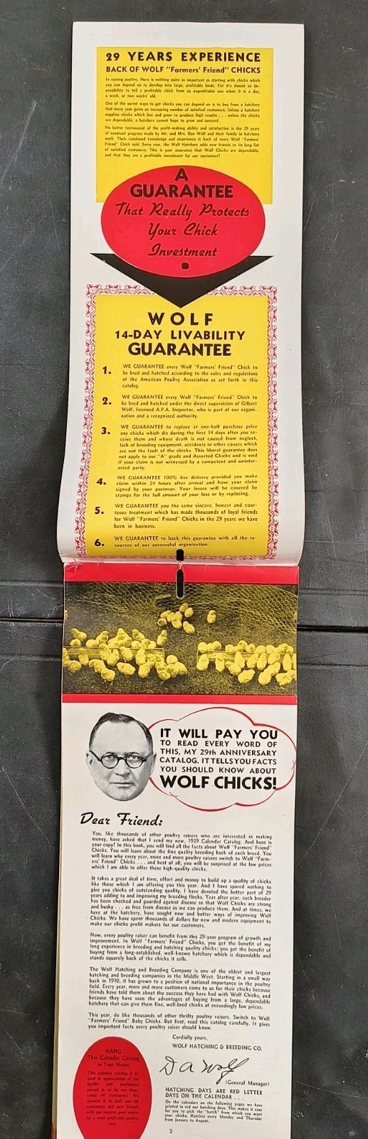 1939 Wolf Baby Chicks Catalog Calendar Sale Brochure Chicken Farming Advertising